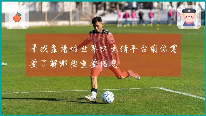 寻找靠谱的世界杯竞猜平台前你需要了解哪些重要信息
