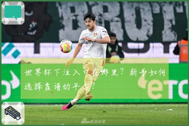 世界杯下注入口在哪里？新手如何选择靠谱的平台？