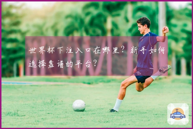 世界杯下注入口在哪里？新手如何选择靠谱的平台？